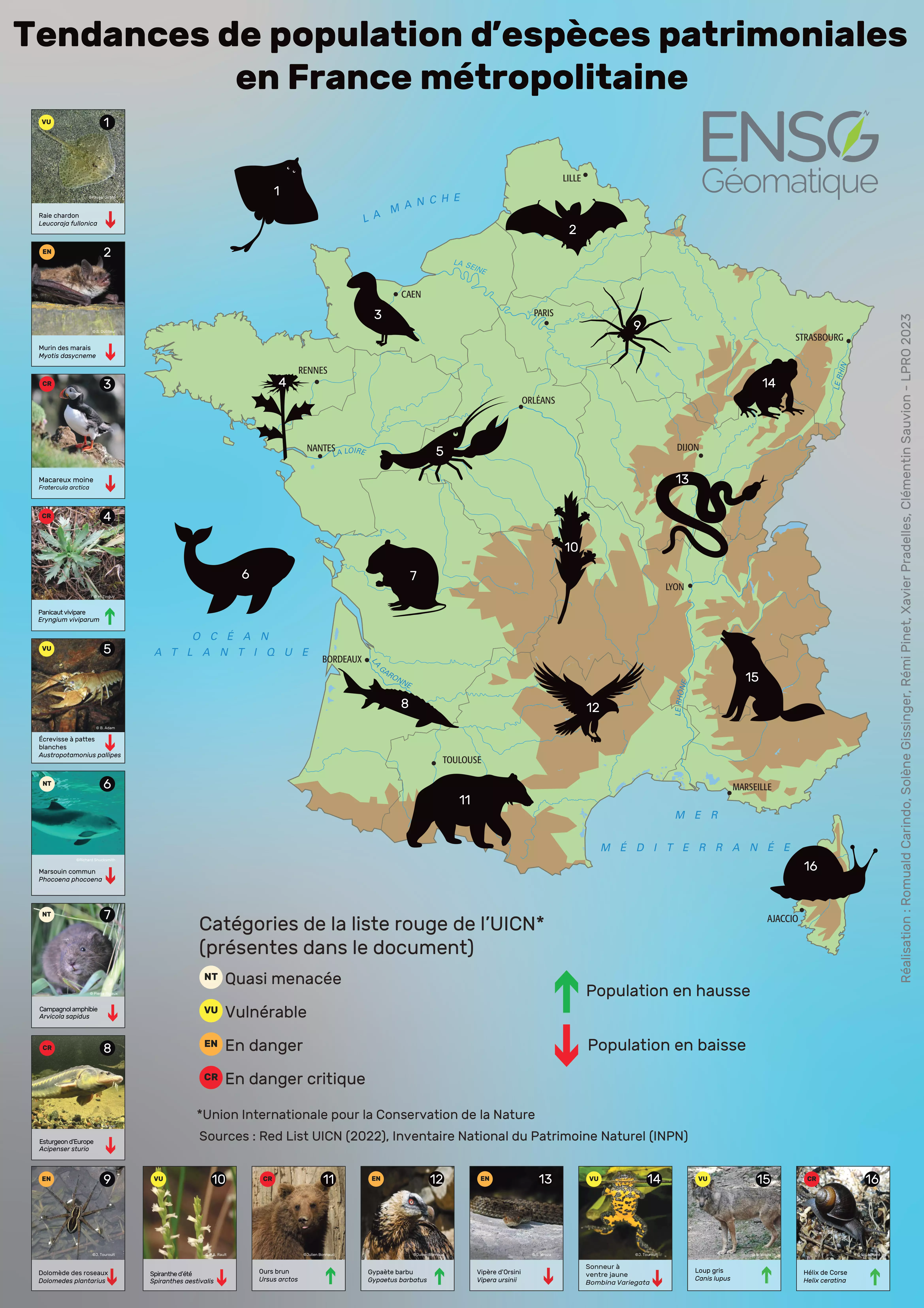 Carte de la France métropolitaine avec des taxons de faunes et flores imagées